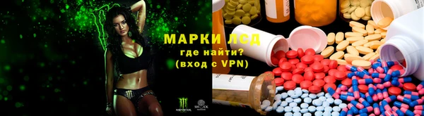 тгк Алзамай