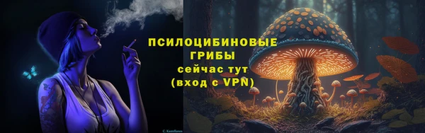 стаф Алексин