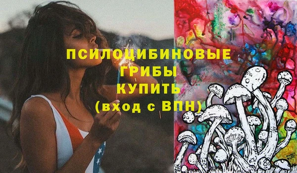 стаф Алексин
