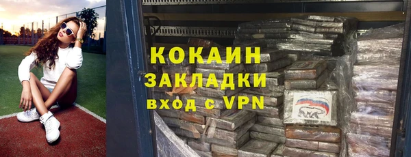 стаф Алексин